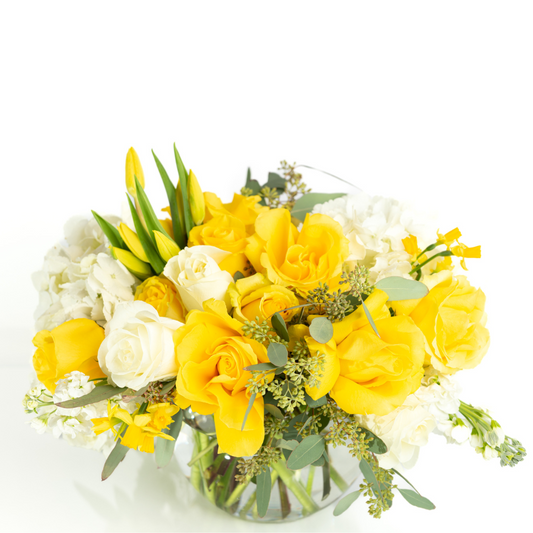 Citrus Garden | Yellow Flowers