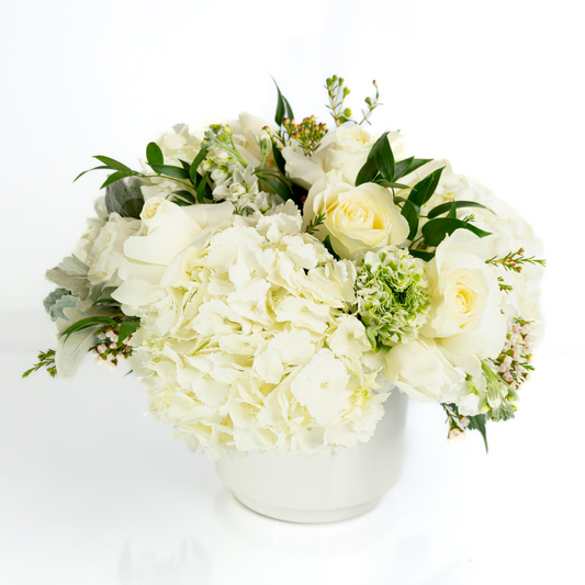 Pure Garden | White Flowers